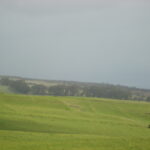 DSC00687 DSC00687