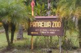 Hilo Zoo (aka Pana’ewa Rainforest Zoo and Gardens)