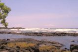 Whittington Beach Park (Honuapo)