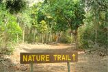 Manuka State Wayside