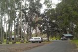 Namakanipaio Campground