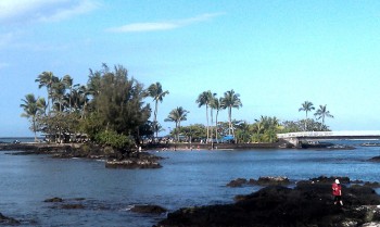 coconut-island-hawaii