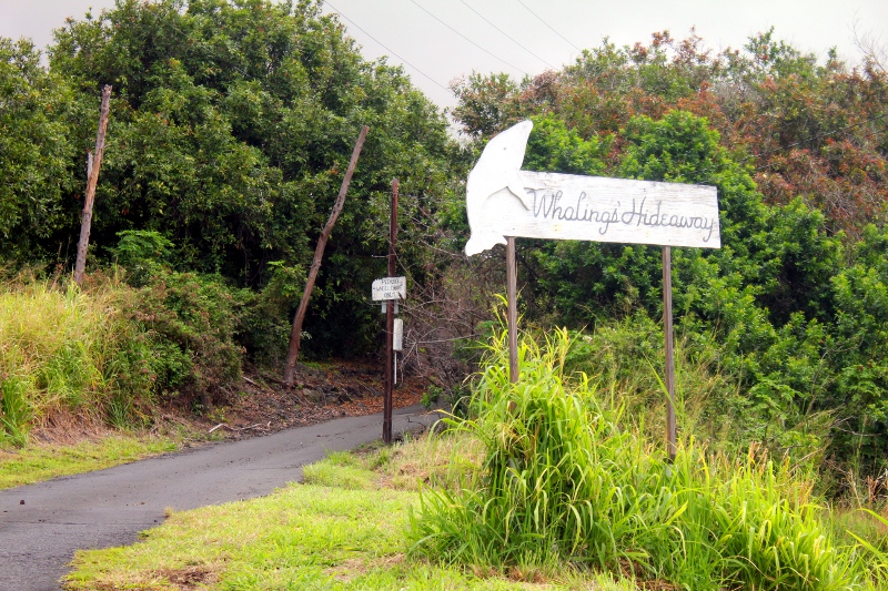 Hao Springs Road in Waiohinu