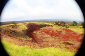 Puuolokuana 03